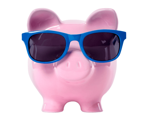 pig
